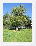 2015-05-10 15.43.50 * 2448 x 3264 * (3.87MB)